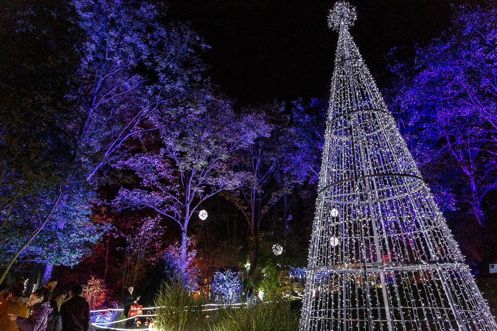 Springfields Christmas Lights 2022 News – Slr Outlets Ltd